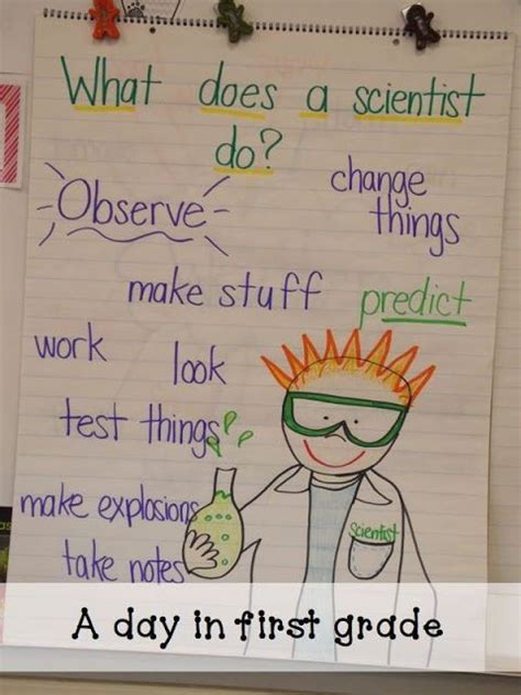 What Does A Scientist Do First Grade Science Science Anchor Charts