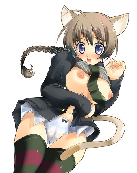 Rule 34 Blue Eyes Blush Cat Ears Clothing Large Breasts Panties Solo
