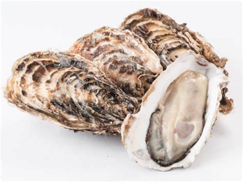 Royal Miyagi Oysters Live And By The Dozen Big Alaska Seafood
