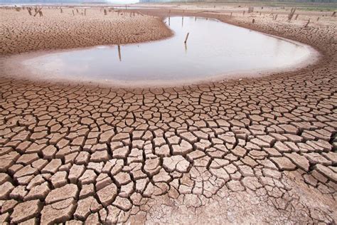 Dia Mundial De Combate à Seca E à Desertificação Igui Ecologia