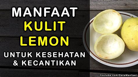 Manfaat Kulit Lemon Khasiat Kulit Jeruk Lemon Untuk Kesehatan Dan Kecantikan Yang Jarang
