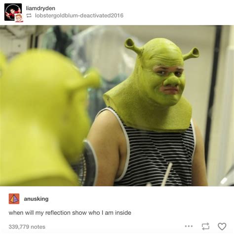 The Funniest Shrek Jokes In The History Of Humanity