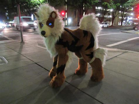 Stray City Arcanine By Lilleahwest On Deviantart