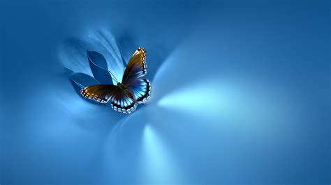 Blue Butterfly Desktop Wallpaper