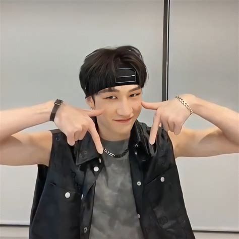 86% cringe / 6% chad / 4% satire / 4% meta. Pin by alyssa on 방찬 in 2020 | Chris chan, Stray kids chan ...