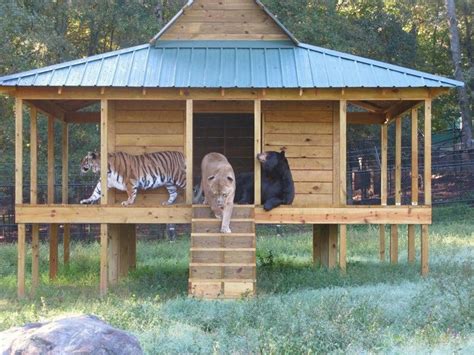 Noahs Ark Animal Sanctuary Hidden Georgia