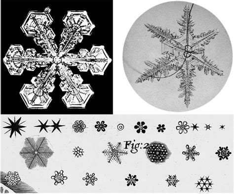 The Formation Of Snow Crystals American Scientist