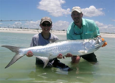 Florida Fishing Guides Tarpon Fishing Charters In Florida
