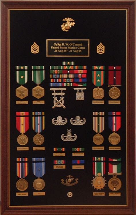 How To Display Military Medals Medals Rack Builder Military Medals Vrogue