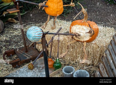 Carved Pumpkin Scene Stock Photo Alamy