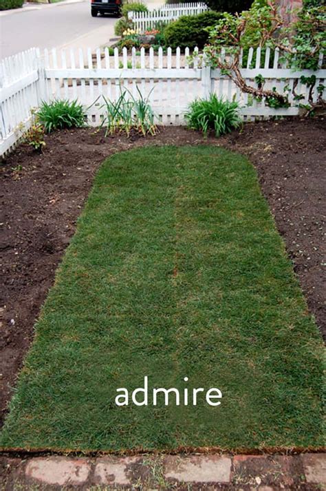 Learn how to lay sod in your yard to get a green lawn quickly. How to Lay Sod at Home | Laying Sod 101The Art of Doing Stuff