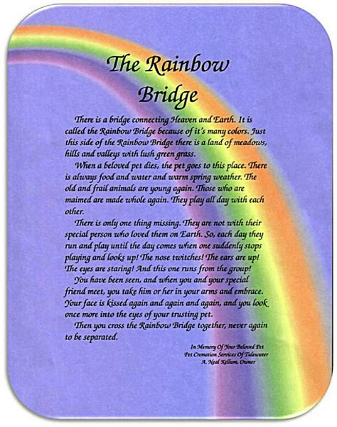 Quotes About Rainbow Bridge 46 Quotes
