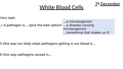 White Blood Cells Teaching Resources