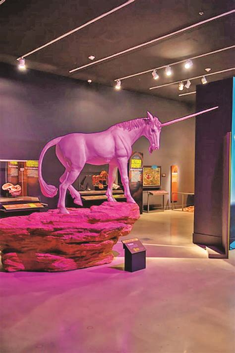 Historymiami Museum Presenting ‘mythic Creatures Dragons Unicorns
