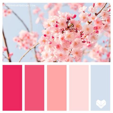 Color Palette Pretty In Pink — Paper Heart Design Color Palette Pink