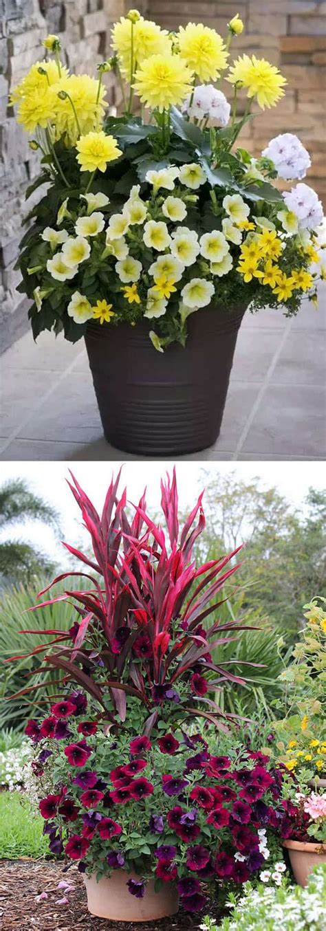 Flower Container Gardening Ideas