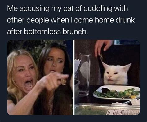 Woman Yelling At Cat Meme Is Still Going Strong 31 Memes