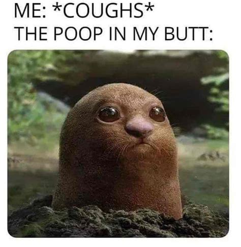Me Coughs And The Poop In My Butt Appears Meme Keep Meme