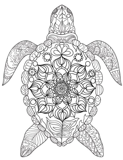Free Printable Sea Turtle Adult Coloring Page Download It In Pdf