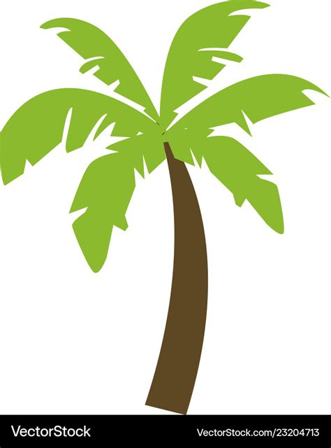 Palm Tree Vector Soakploaty