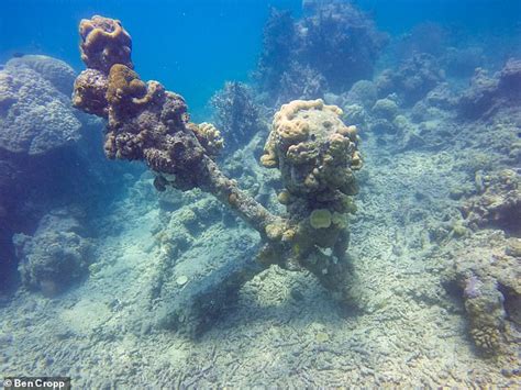 Shipwreck escape is a 2,5d immersive game with puzzle elements. 150 year old vessel found Great Barrier Reef shipwreck ...