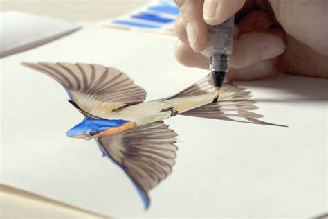 Bird Academy | The Cornell Lab | Courses Tutorials Videos