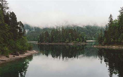 Download Wallpaper 3840x2400 Lake Spruce Trees Fog Reflection 4k