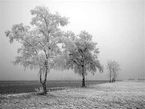 Wallpapers Box: Winter Wonderland High Definition Desktop Wallpapers