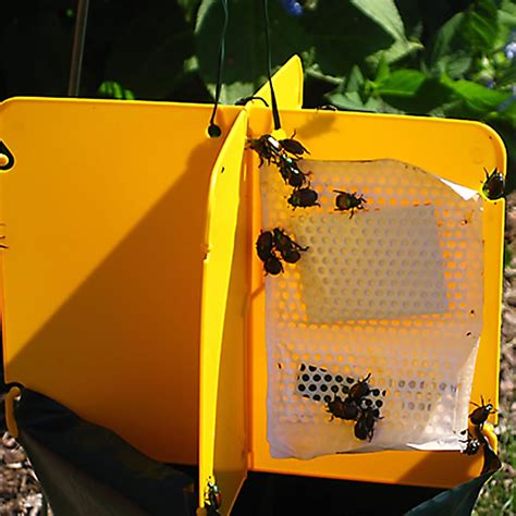 Japanese Beetle Trap Safer 70102 — Ellington Agway