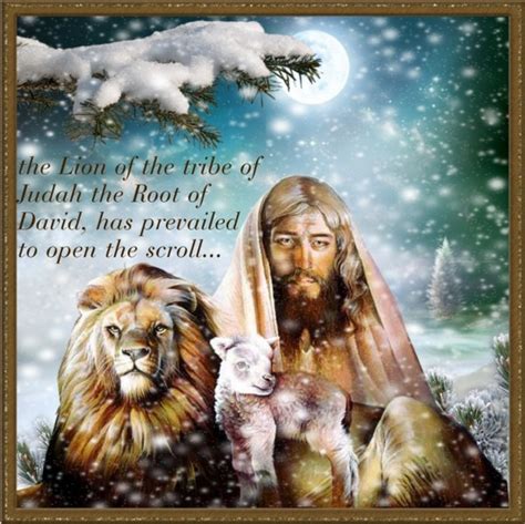 220 Best King Of Kings The Lion Of Judah Images On