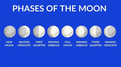 6b Lunar Phases And Tides Science 6