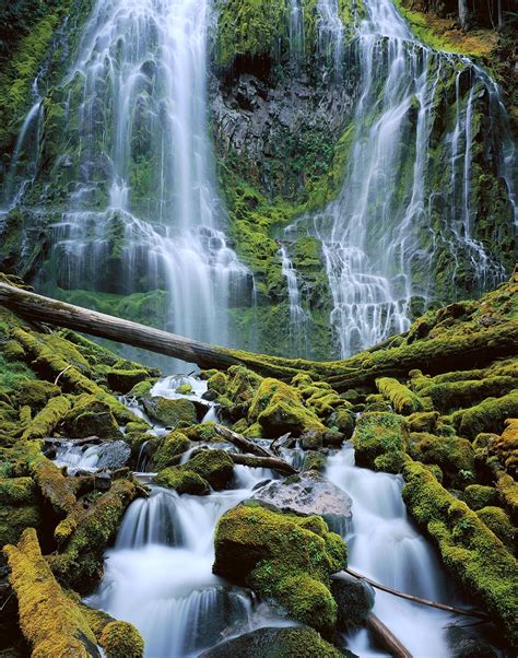 1204 Proxy Falls Willamette National Forest Oregon Bryan David