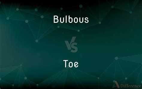 Bulbous Vs Toe — Whats The Difference