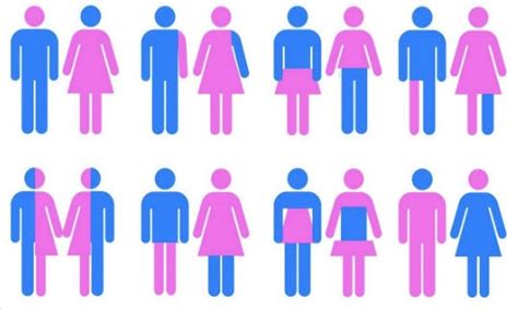 gender chart 58 genders blank template imgflip