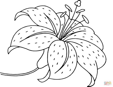 Tinker bell peter pan scenes. Tiger Lily Coloring Pages - Coloring Home
