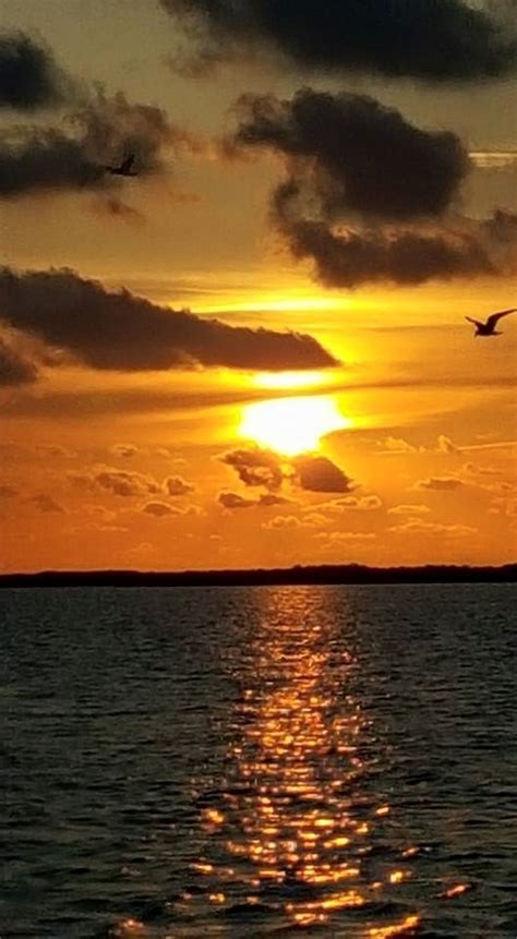 The 11 Most Beautiful Sunsets In Louisiana