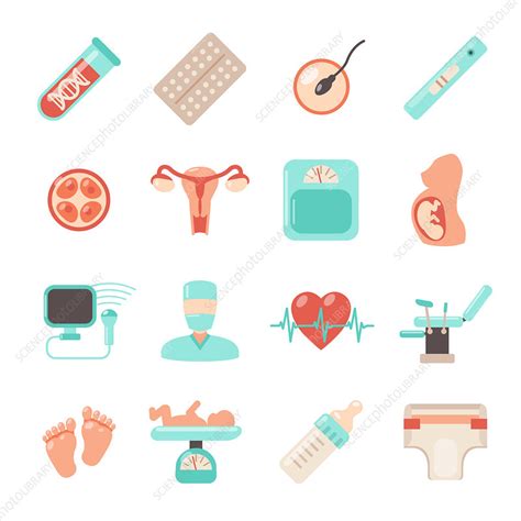 Reproductive Health Icons Illustration Stock Image F0199213