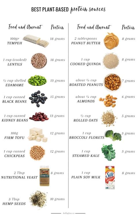 A Nutritionist Explains The Best Plant Based Protein Sources