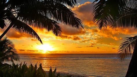 Free download Tropical Sunset Beaches Viewing Gallery [1366x768] for ...