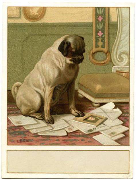 28 Vintage Dog Images The Graphics Fairy