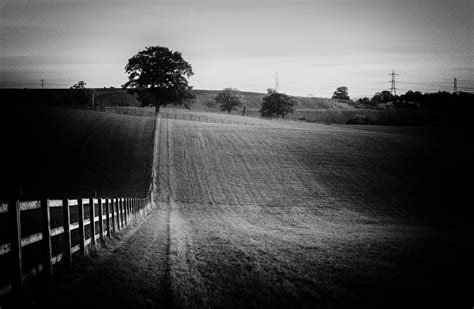 Free Images Tree Grass Horizon Light Fence Cloud Black And
