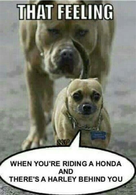 The harley or me funny meme. Best Harley/Riding Memes - Let's see 'em! - Page 6 ...