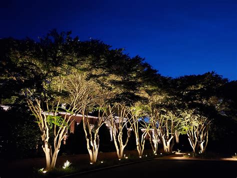 Bring Your Landscape To Life At Night With Designer Tree Uplighting In