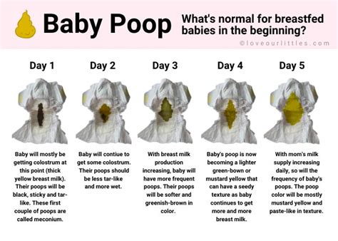 Baby Poop Colors Chart And Pictures Whats Normal Love Our Littles®