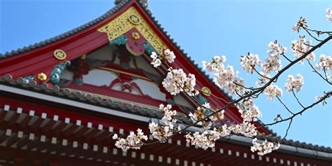 Gallery Asakusa Kaede