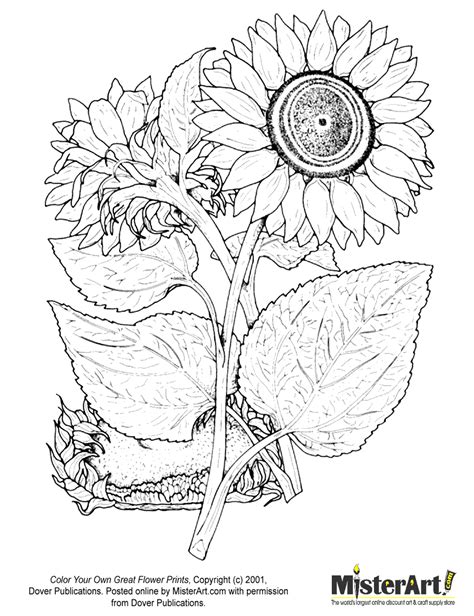 Select from 35870 printable coloring pages of cartoons, animals, nature, bible and many more. Free Coloring Page: Color Your Own Great Flower Prints ...