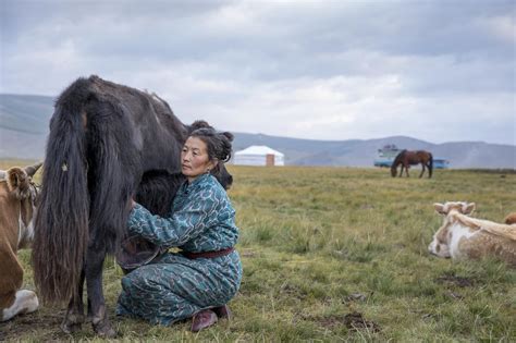 The 13 Best Places To Visit In Mongolia Wild Frontiers