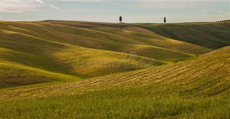Countryside Of Tuscany Italy Stock Photo Image Of Sunny Meadows