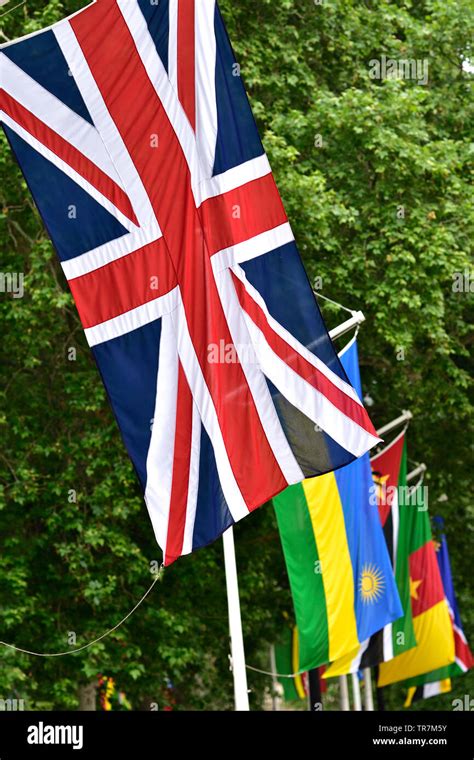 London England Uk Commonwealth Flags In Horse Guards Road Ready For