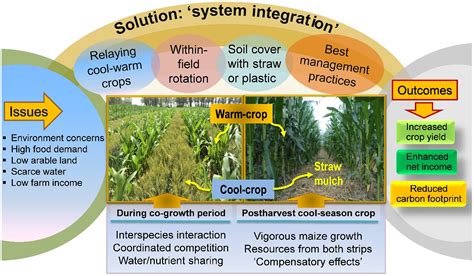 Integrated Farming With Intercropping Increases Food Production While Reducing Environmental